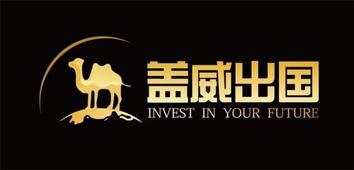 上海蓋威投資咨詢 專業(yè)投資顧問服務(wù)助力財富增長